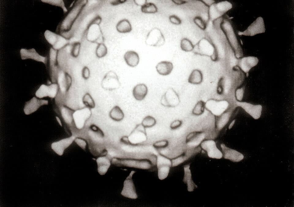 Фото: commons.wikimedia.org/ rotavirus/Creative Commons Attribution 3.0