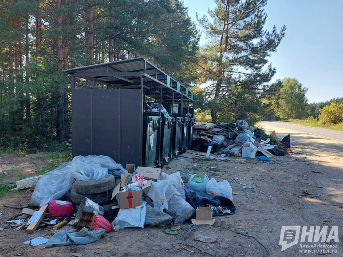 Нижегородцы нарушили правила благоустройства на 219 млн рублей в 2025 году