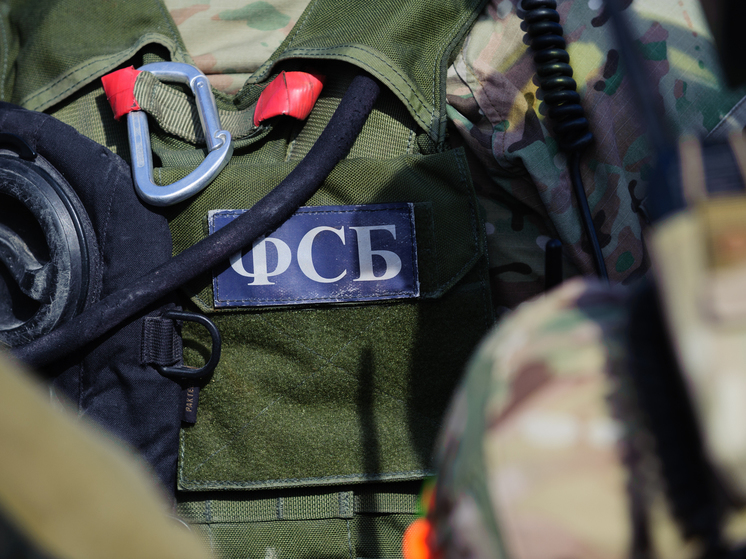 ФСБ пресекла работу протурецкой религиозной организации в Петербурге