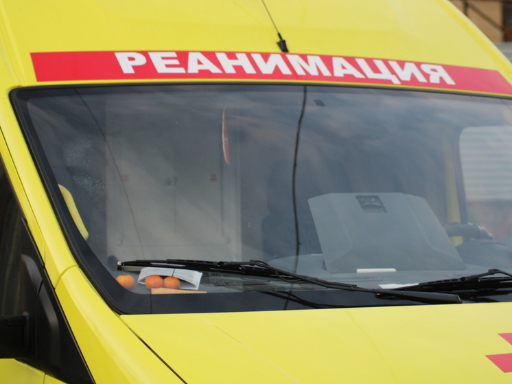 Москвич предстанет перед судом за убийство 12-летней давности в Тульской области