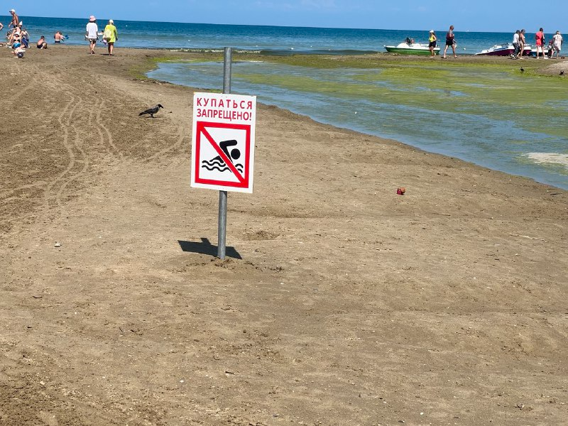 Купаться запрещено. Нельзя купаться в озере. Анапа море. В Анапе запретили купаться в море.