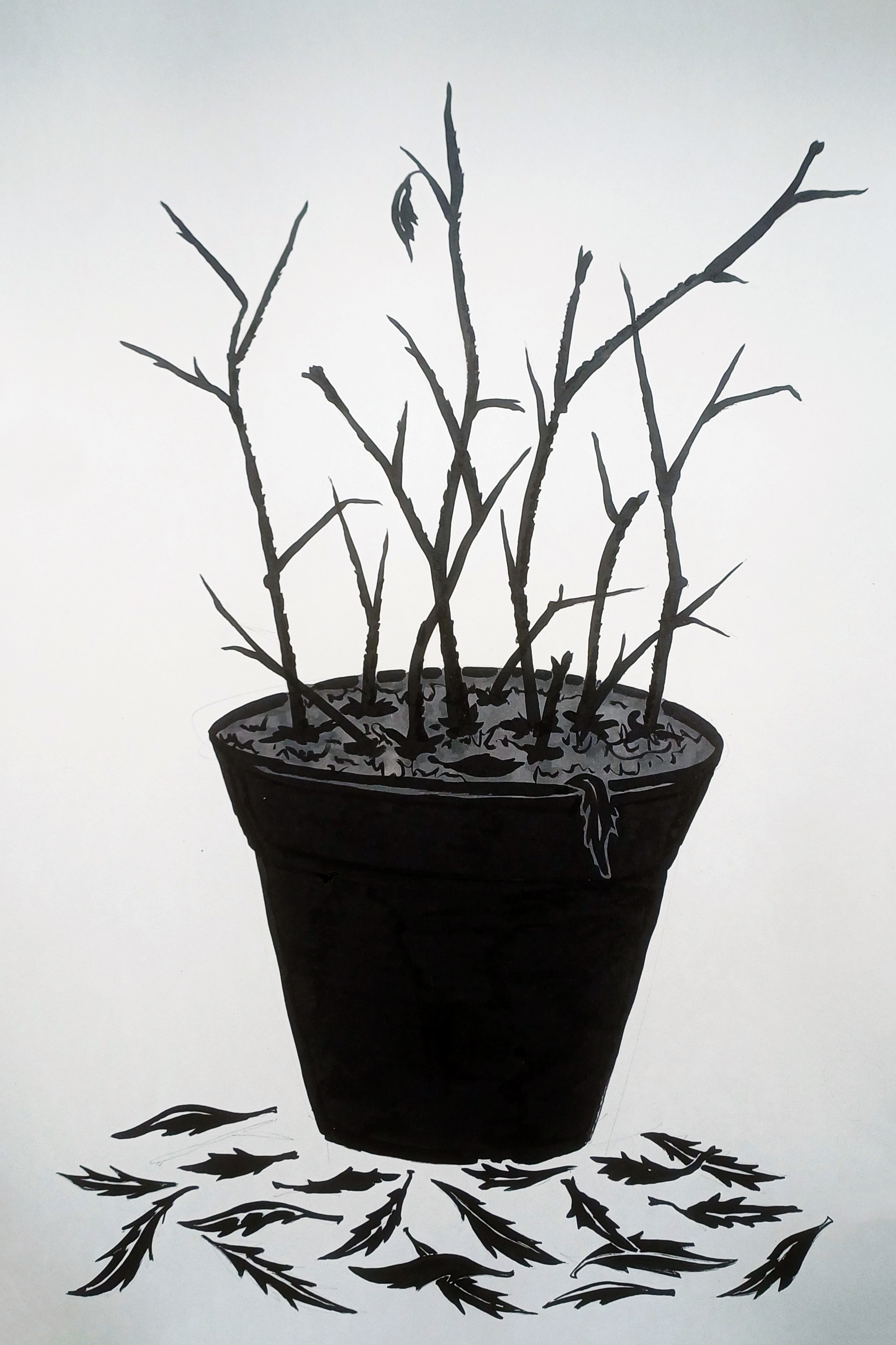 В Anna Nova рассеется туман: открытие персональной выставки Евгения Гранильщикова3