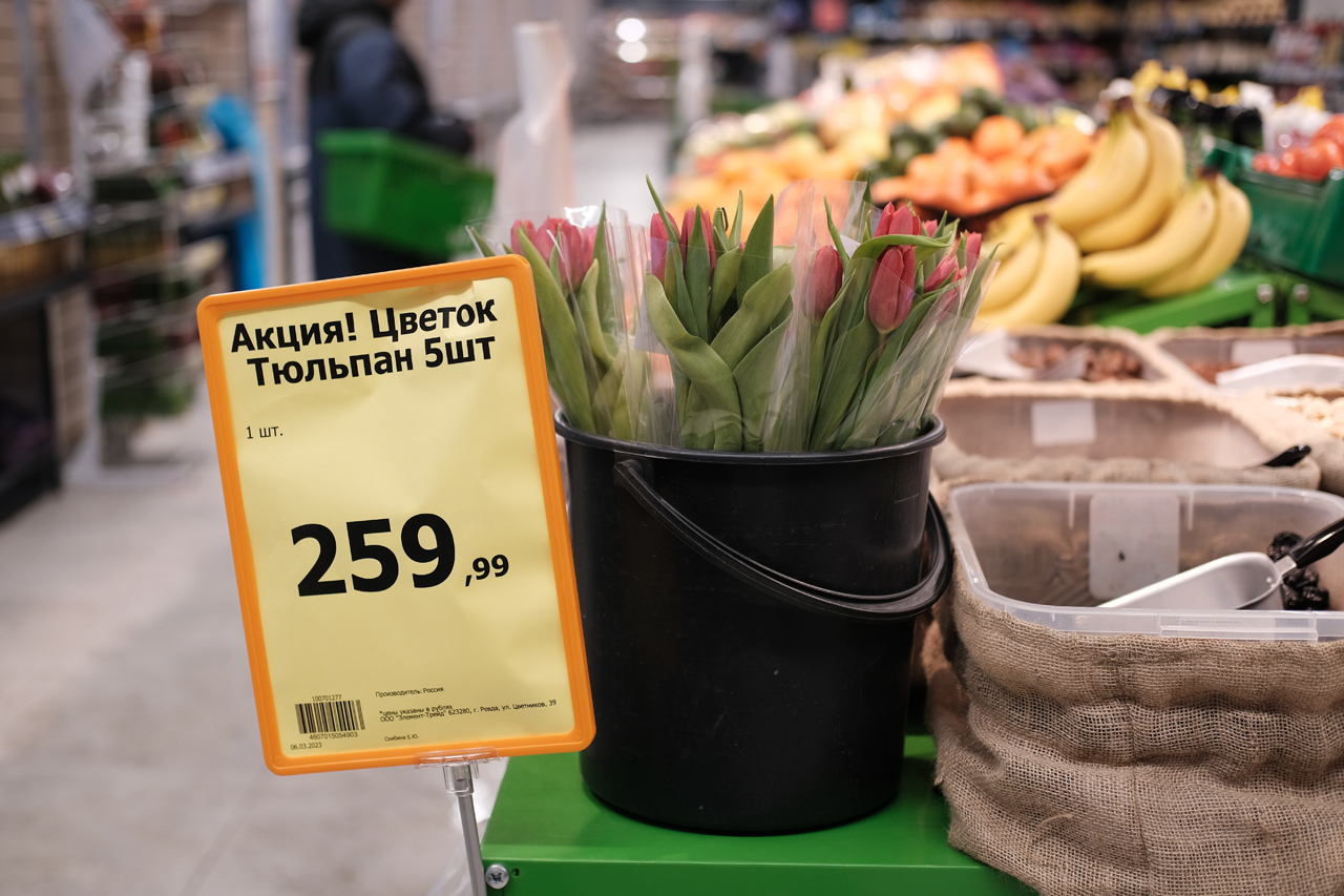 Тюльпаны в пятерочке 2024. Тюльпаны в пятерочке 2023. Тюльпаны в пятерочке. Тюльпаны в пятерочке. Тюльпаны в пятерочке 2024.