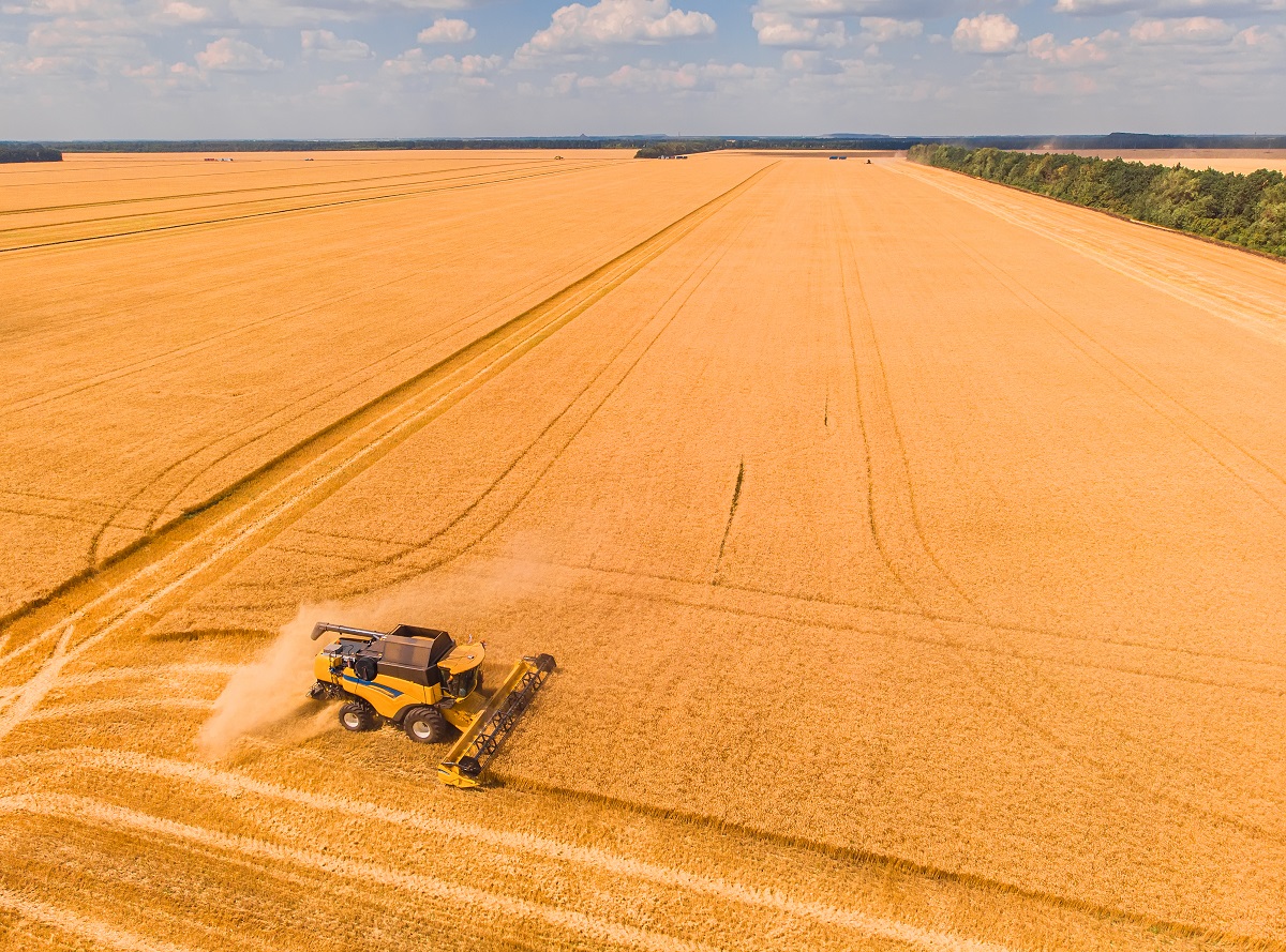 Урожай зерна в Кузбассе побил исторический рекорд 