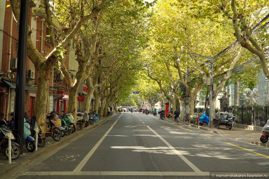 Вьет Вам, часть 1. Шанхайский полдень