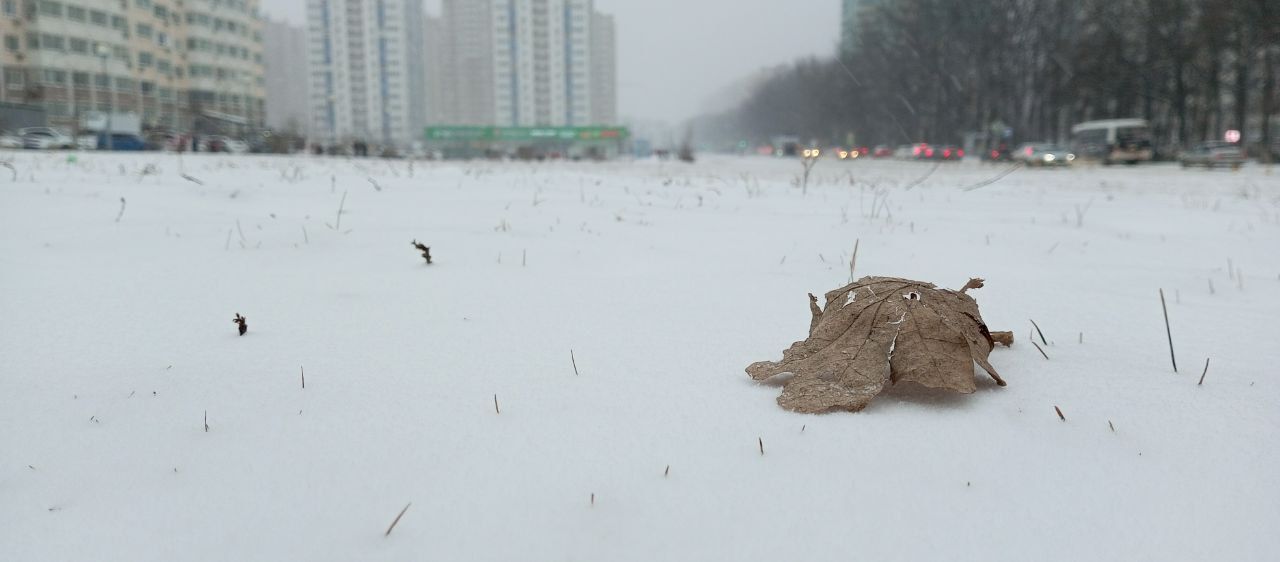 В краснодаре выпал снег. Снег в Краснодаре. Снегопад в Краснодаре. Снег в Краснодаре сегодня.