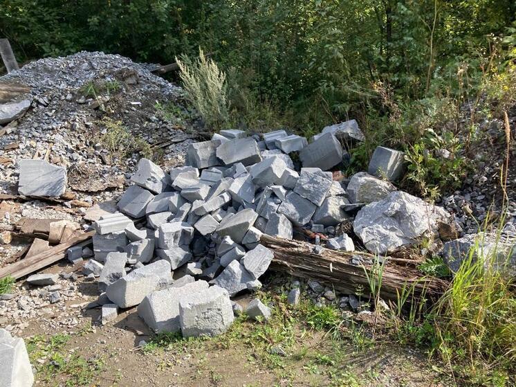 Нижний Тагил превращается в город несанкционированных свалок?