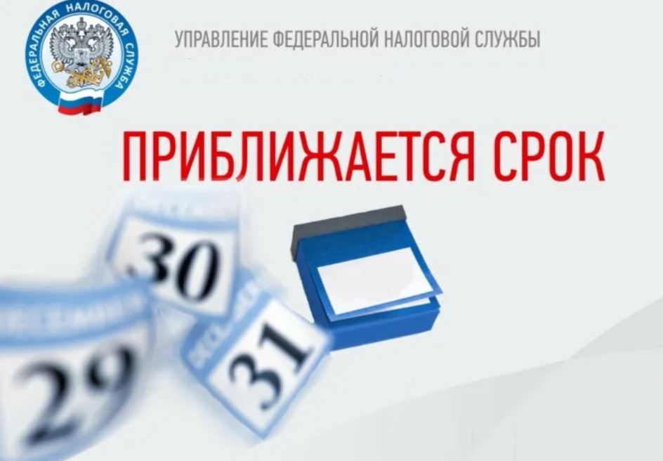 Налоговая дата. Срок уплаты налога. Срок оплаты. Налоги физических лиц срок уплаты. Сроки уплаты налога картинки