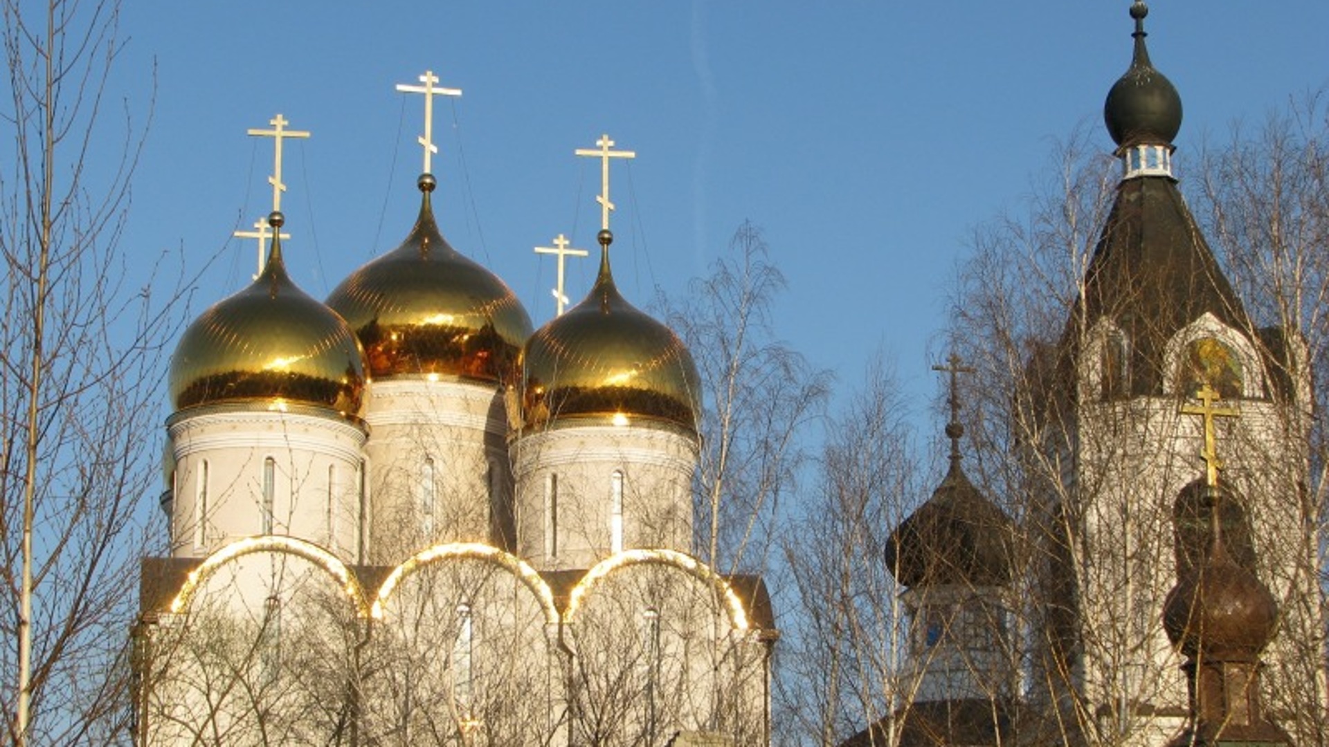 Успенском николо васильевском монастыре. Свято-Успенский Николо-Васильевский монастырь. Свято-Успенского Николо-Васильевского монастыря в Никольском. Свято-Успенский Николо-Васильевский монастырь Донецкая область.