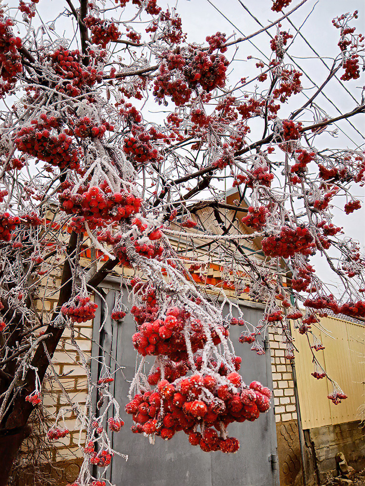 снегопад воскресенье