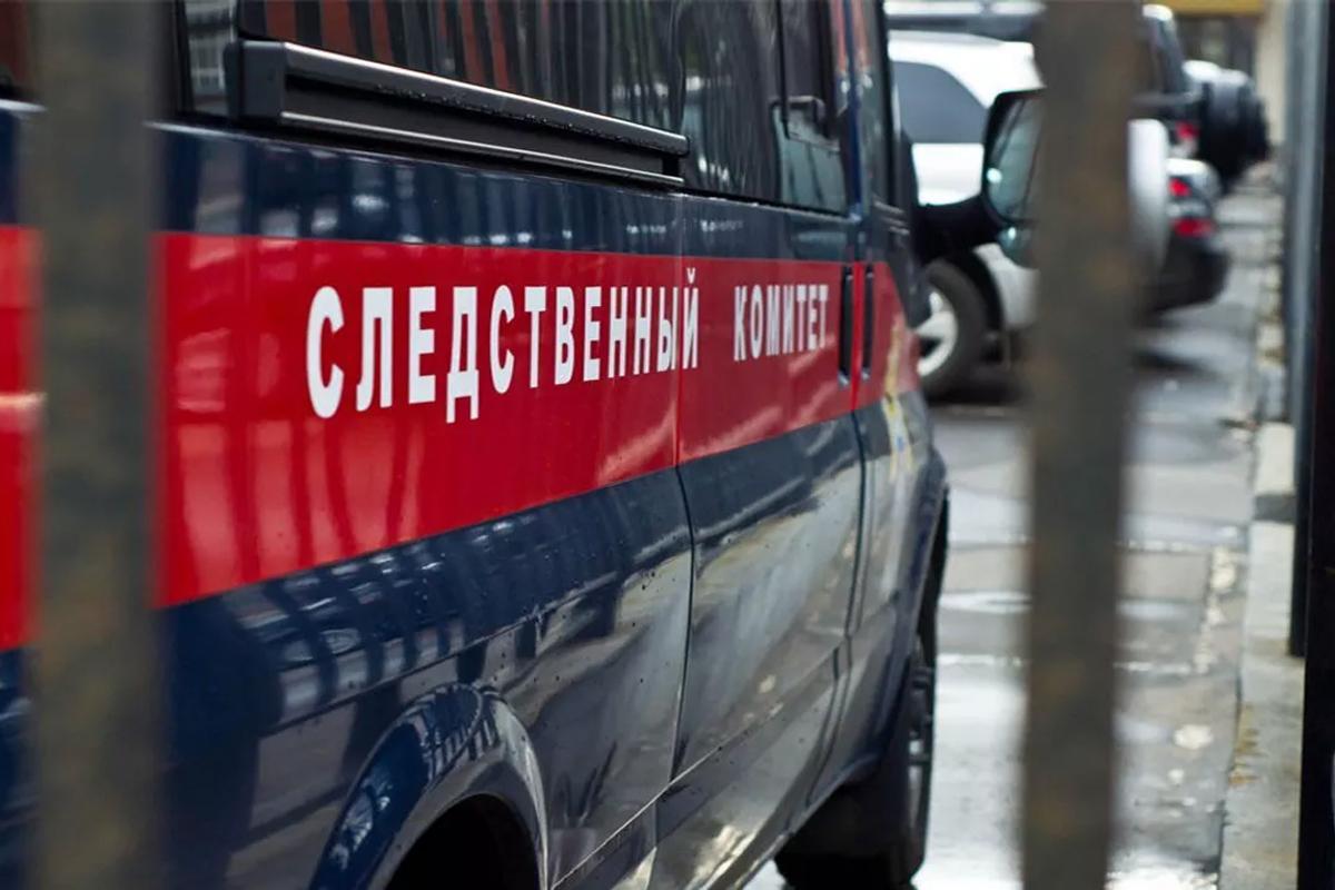 Жительницу Чапаевска заподозрили в истязании троих детей после видео в соцсетях