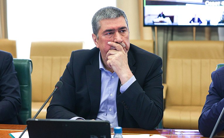 Совещание Комитета Совета Федерации по экономической политике на тему «Развитие электроэнергетического комплекса на территории Дальневосточного федерального округа»