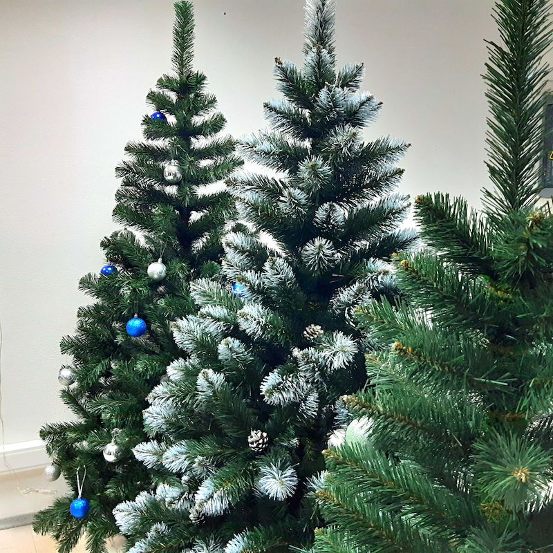 Елочка пушистая в гости к нам. Делаем елочку пушистой обрезка. Елка пушистая искусственная 240 сосна. Наша елка краше всех. Ёлки мохнатые.