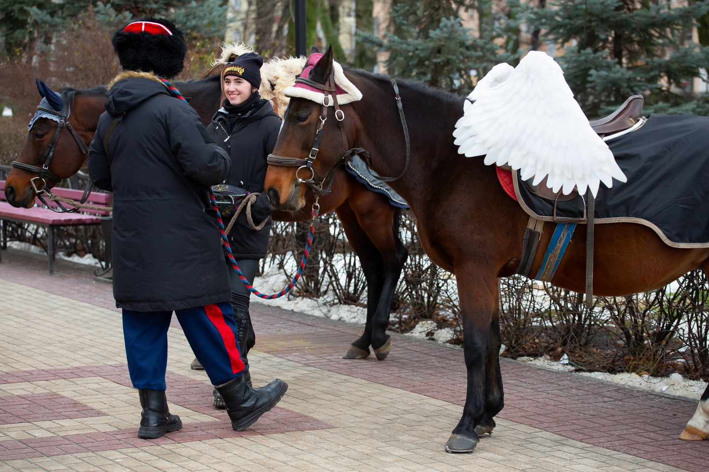 Официальные новости воронеж