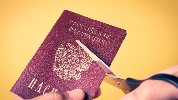 Я русский. У меня нет другого дома: Помогающего бойцам СВО серба хотят лишить гражданства в России