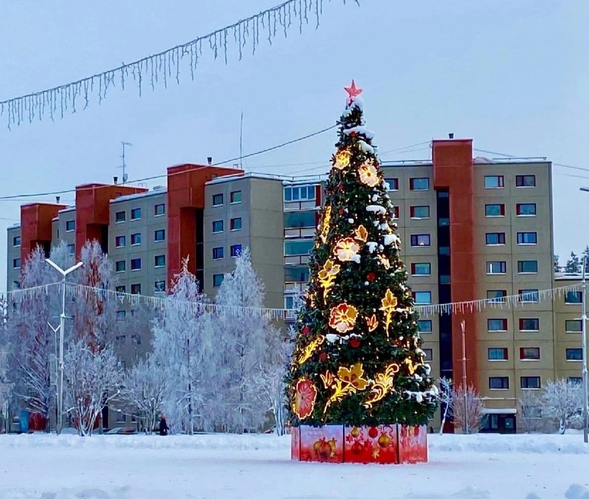 Карелия новый 2024. Емва Центральная площадь города. Елка на Тополиной аллее Челябинск. Елка в Костомукше 2022. Мэрия Костомукша.