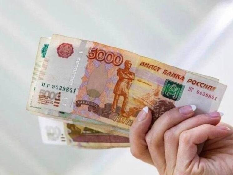  С бывшего концессионера новосибирских школ требуют свыше 40 миллионов рублей