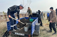 Озеленение Георгиевского округа продолжается