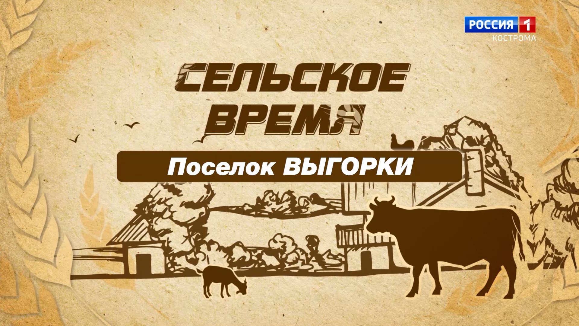 Выгорки