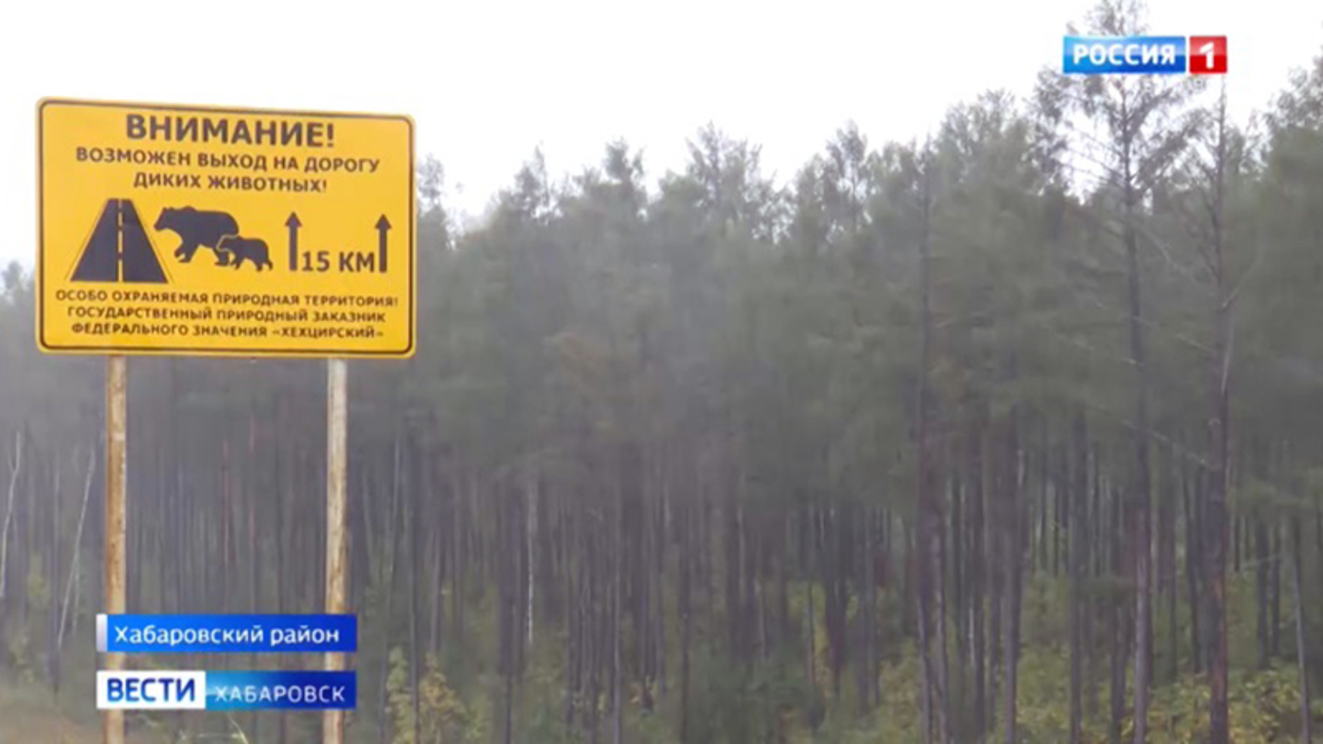 Меры по предотвращению дорожных аварий