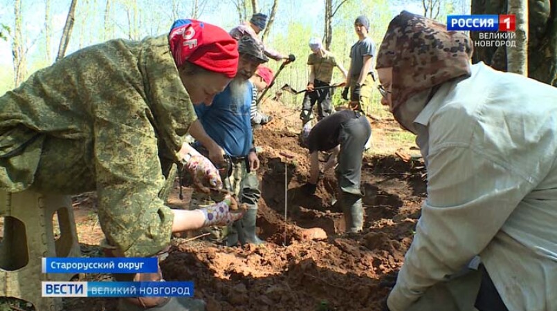 Отряды поисковой экспедиции «Долина» работают в лесах Старорусского округа, поднимая останки погибших красноармейцев
