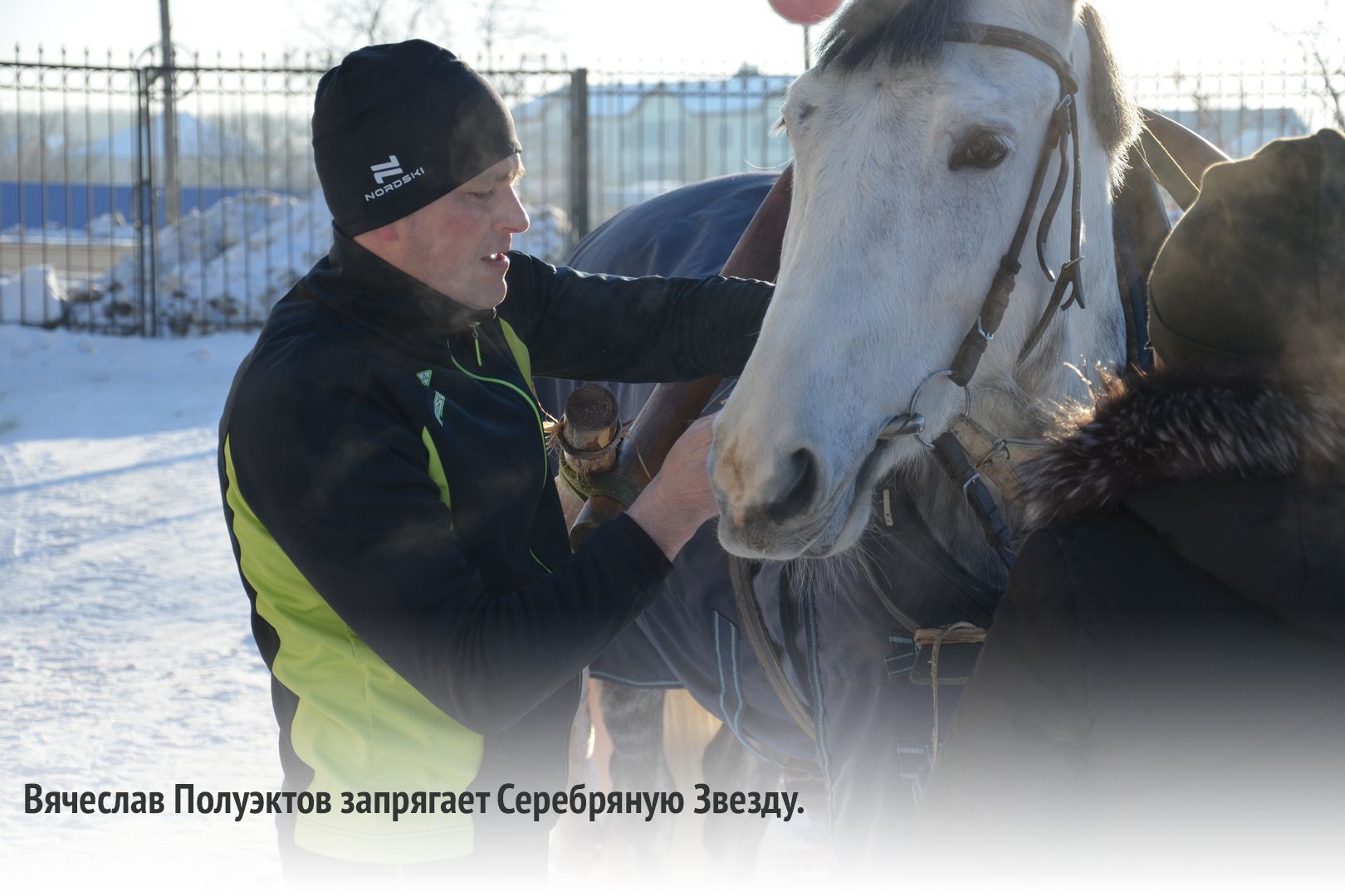 Вести под уздцы предложение. Под уздцы. Уздцы у лошади. Взять под уздцы. Как правильно под уздцы.