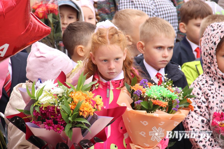 Экономический лицей великие луки