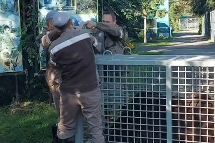 Того как мы пройдем его. Того как мы пройдем его