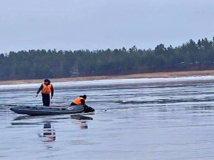 В Тверской области рыбак провалился под лед и утонул