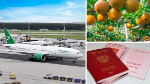 Расписание рейсов Туркменистан – Германия, у садовода из Ахала поспевает экзотический фрукт, Посольство РФ в Туркменистане приостановило оформление биометрических загранпаспортов