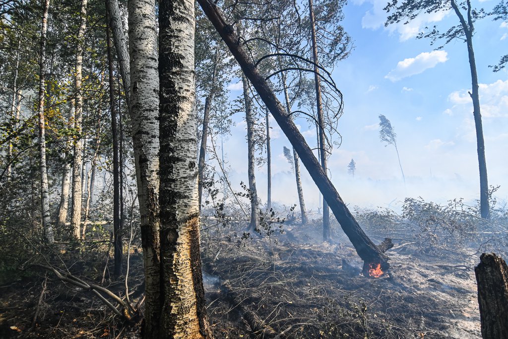 Ситуация с лесными пожарами тяжелая в Свердловской области