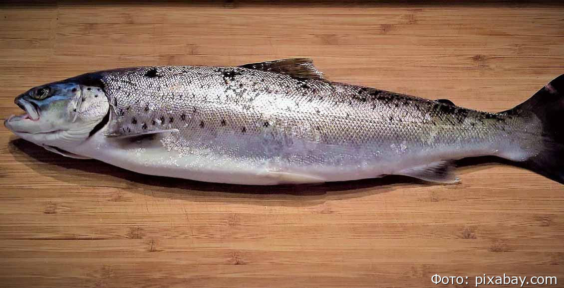 Экспорт рыбопродукции с Камчатки за прошлую неделю вырос в 3,7 раза