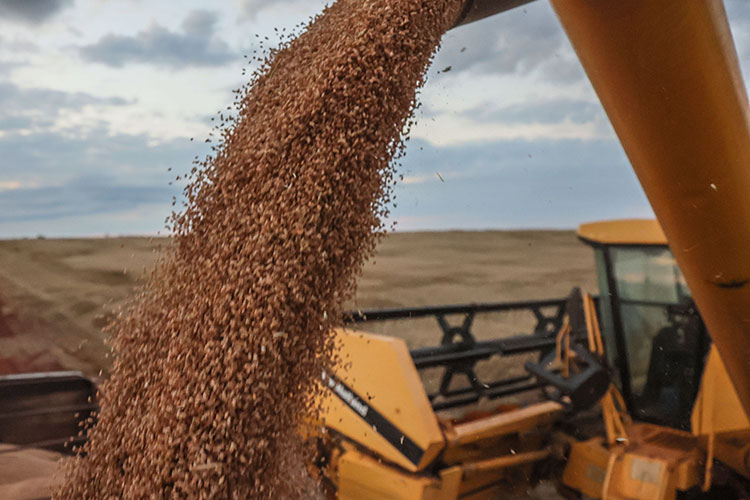 Аграрии района наработали на 2,3 млрд рублей (+ 32%)