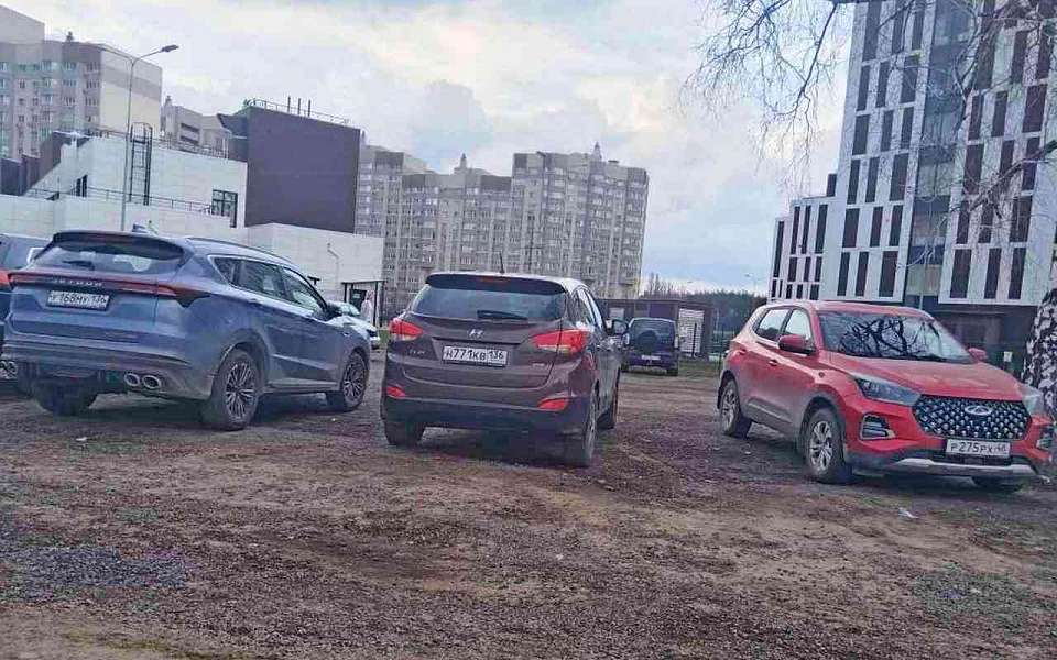 В Воронеже больше половины автомобилей премиум-сегмента проверяют перед покупкой