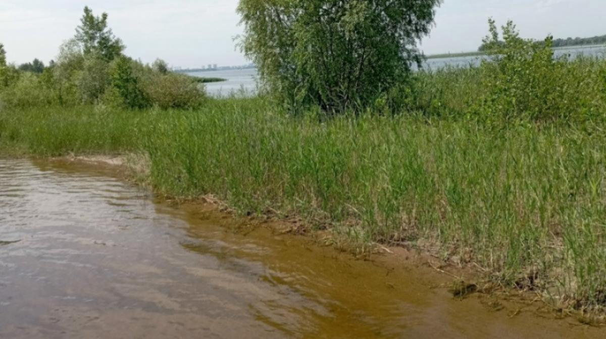 75 000 рублей за рыбалку: саратовцы удивили необычными видами отдыха на Волге