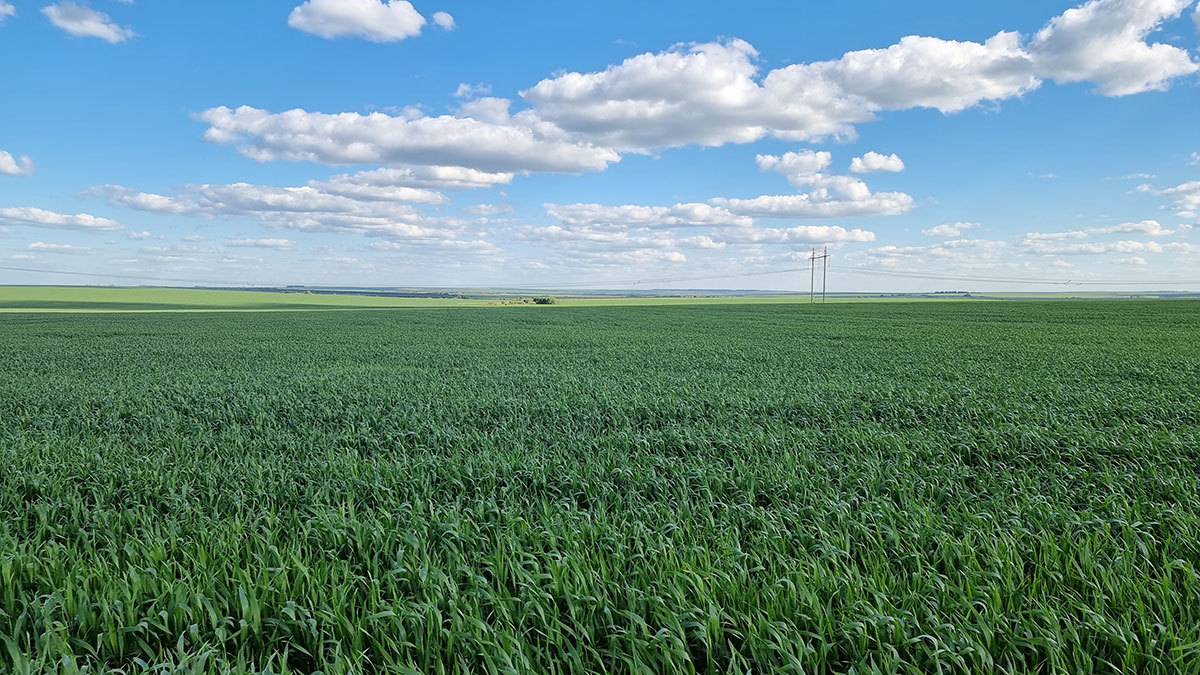 Земельный банк поля. Фото участка 200 га. 4 000 га. 4 000 га. 4 000 га.