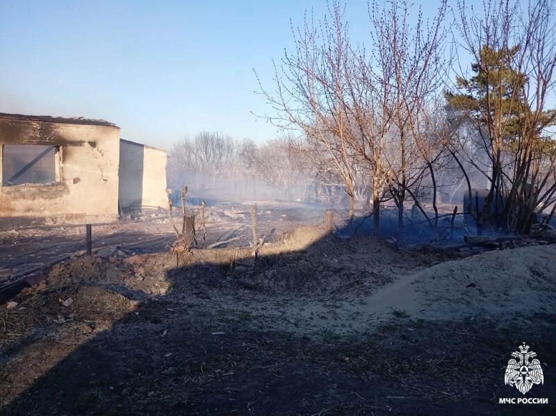 В Новосибирской области привлекут к ответственности виновников пала травы с переходом огня на жилой дом