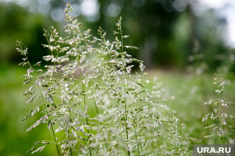 Отличный день для прополки сорняков