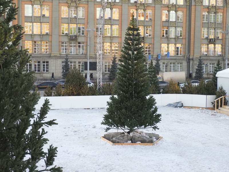 Каток на площади