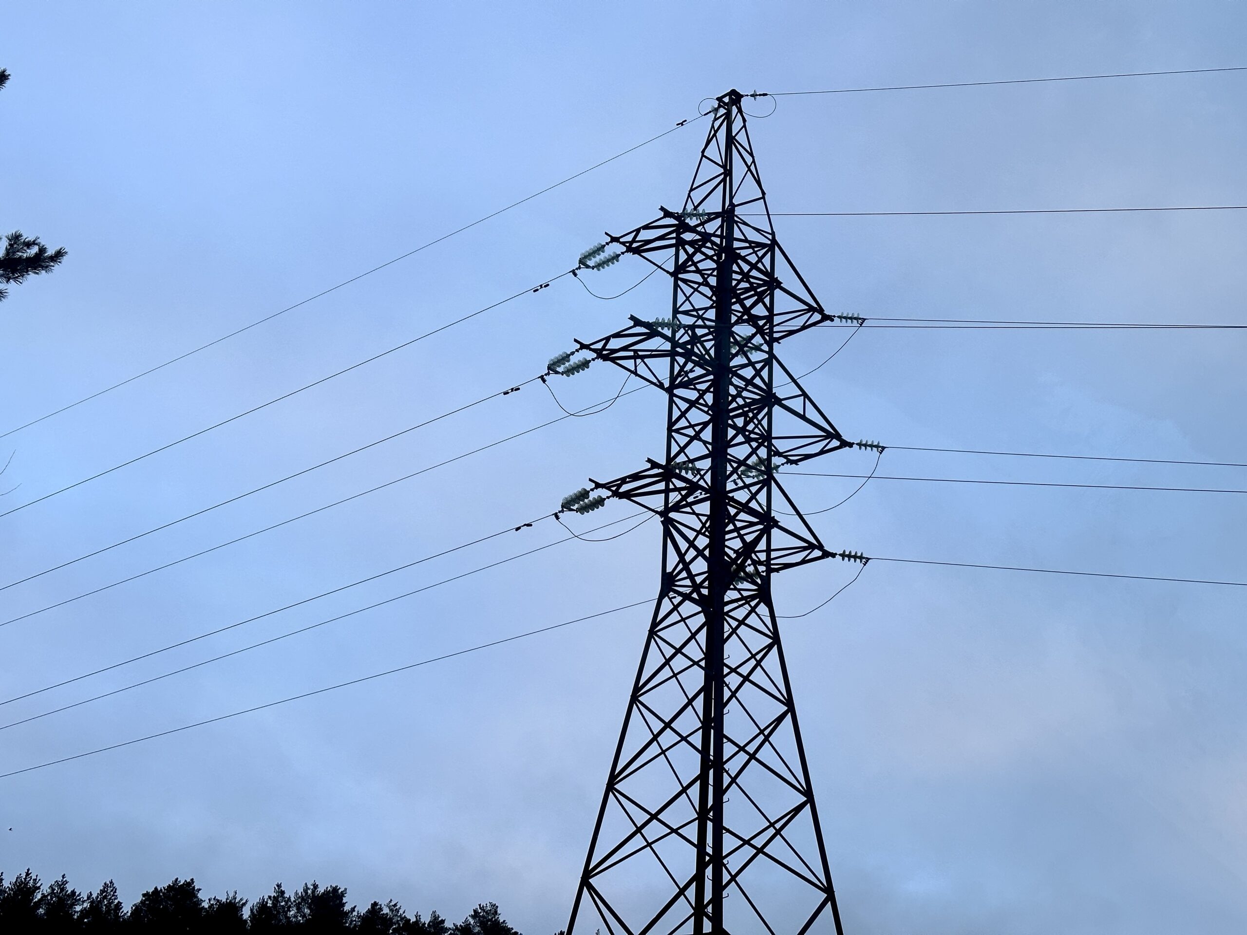 Фото: v-kurse.ru