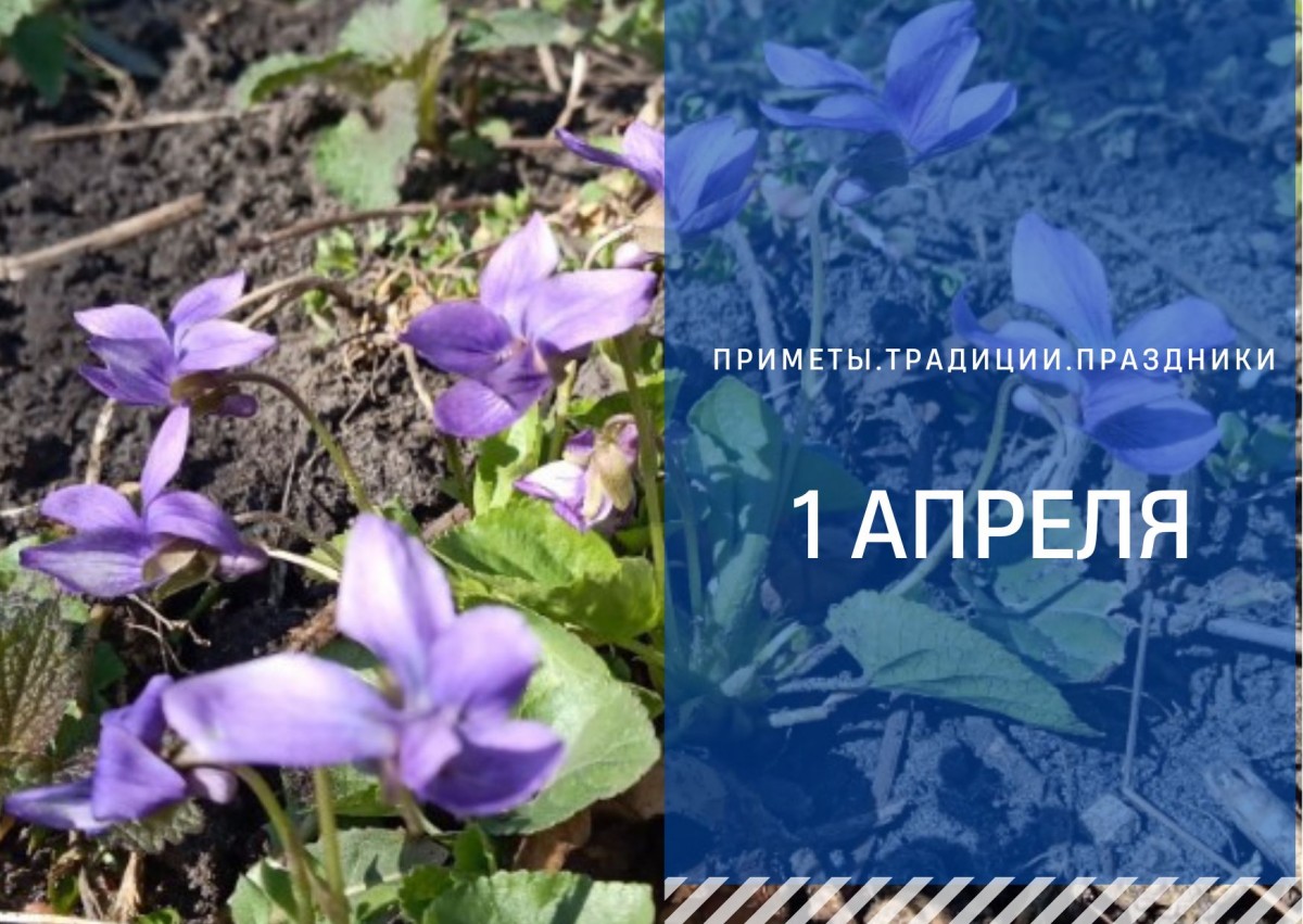 Приметы 1 апреля: что нельзя делать на Грязную Дарью, чтобы не потерять удачу