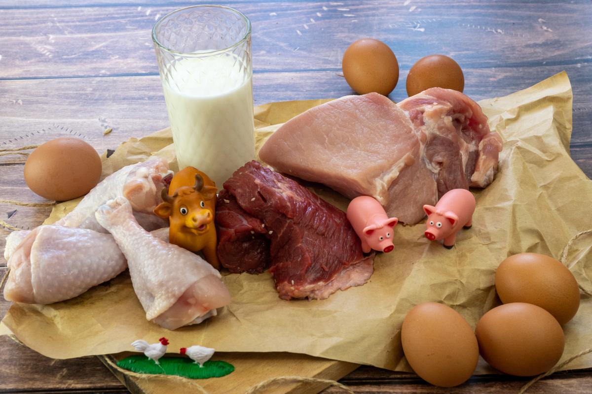 В Ростовской области растут объемы производства мяса, молока и яиц