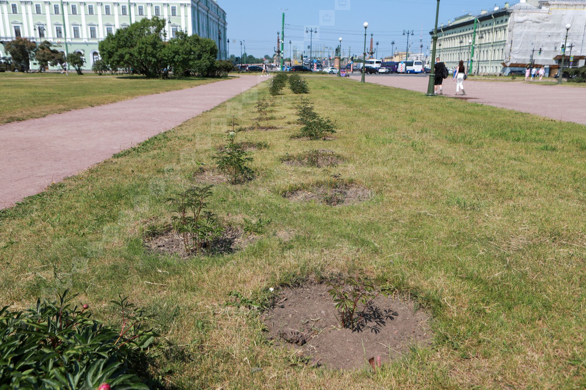 марсово поле в санкт петербурге википедия