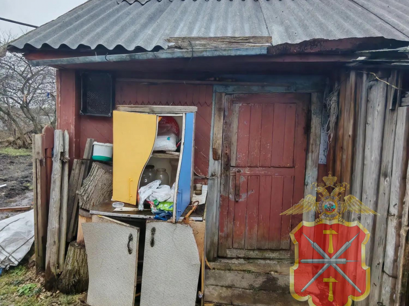 JPG Файл