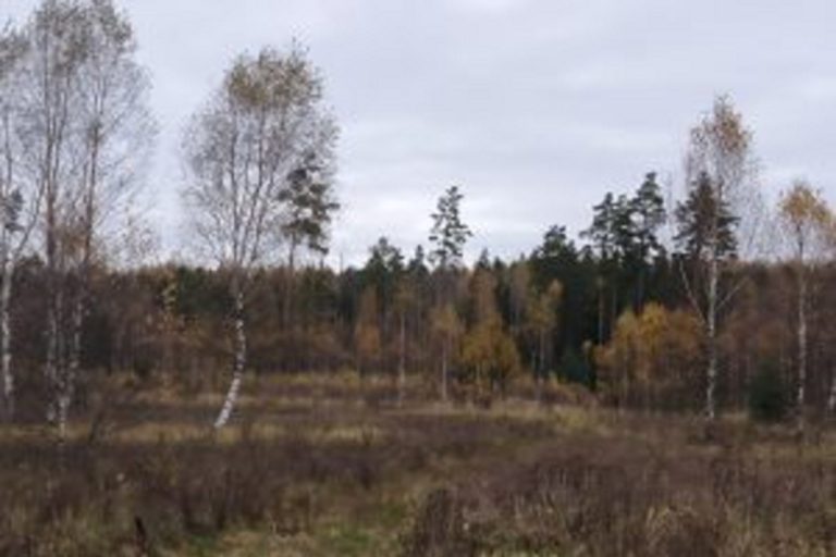 Неиспользуемые сельхозугодья изымут у владельца в Тверской области