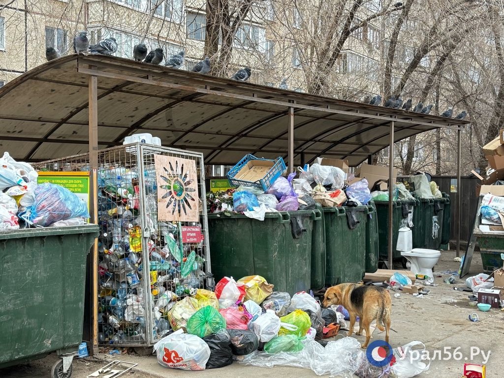 Контейнерная площадка в Оренбурге, фото из архива