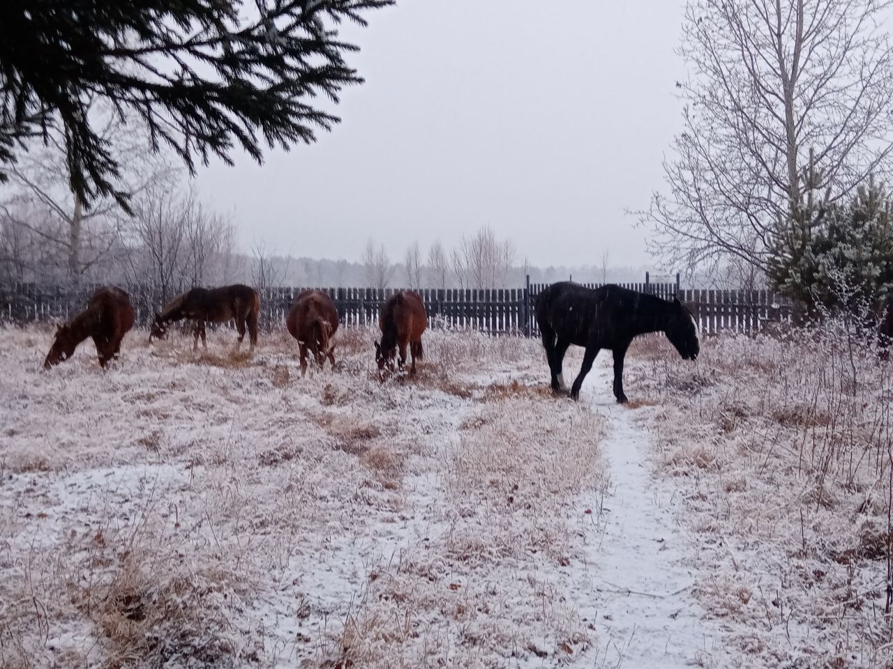 Погода улана 10 дней. Климат Бурятии.