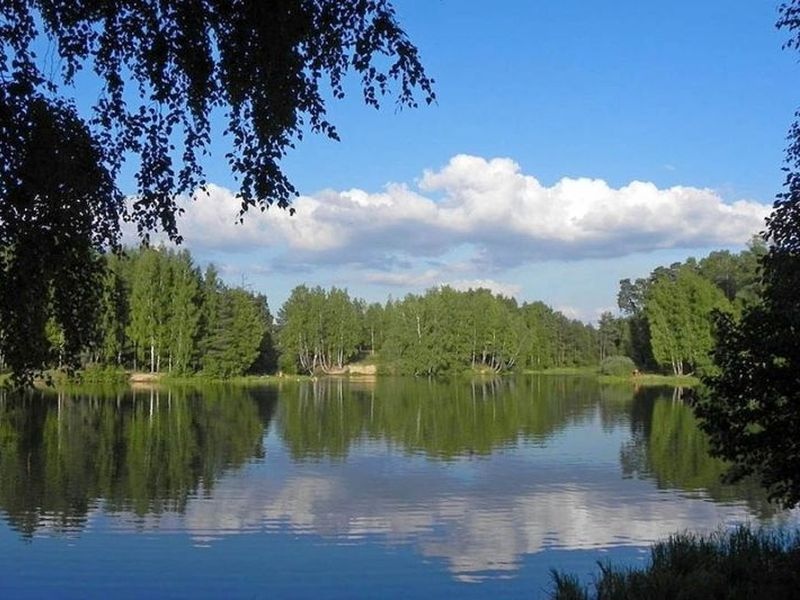 Более сотни экологических акций проходят в Ивановской области