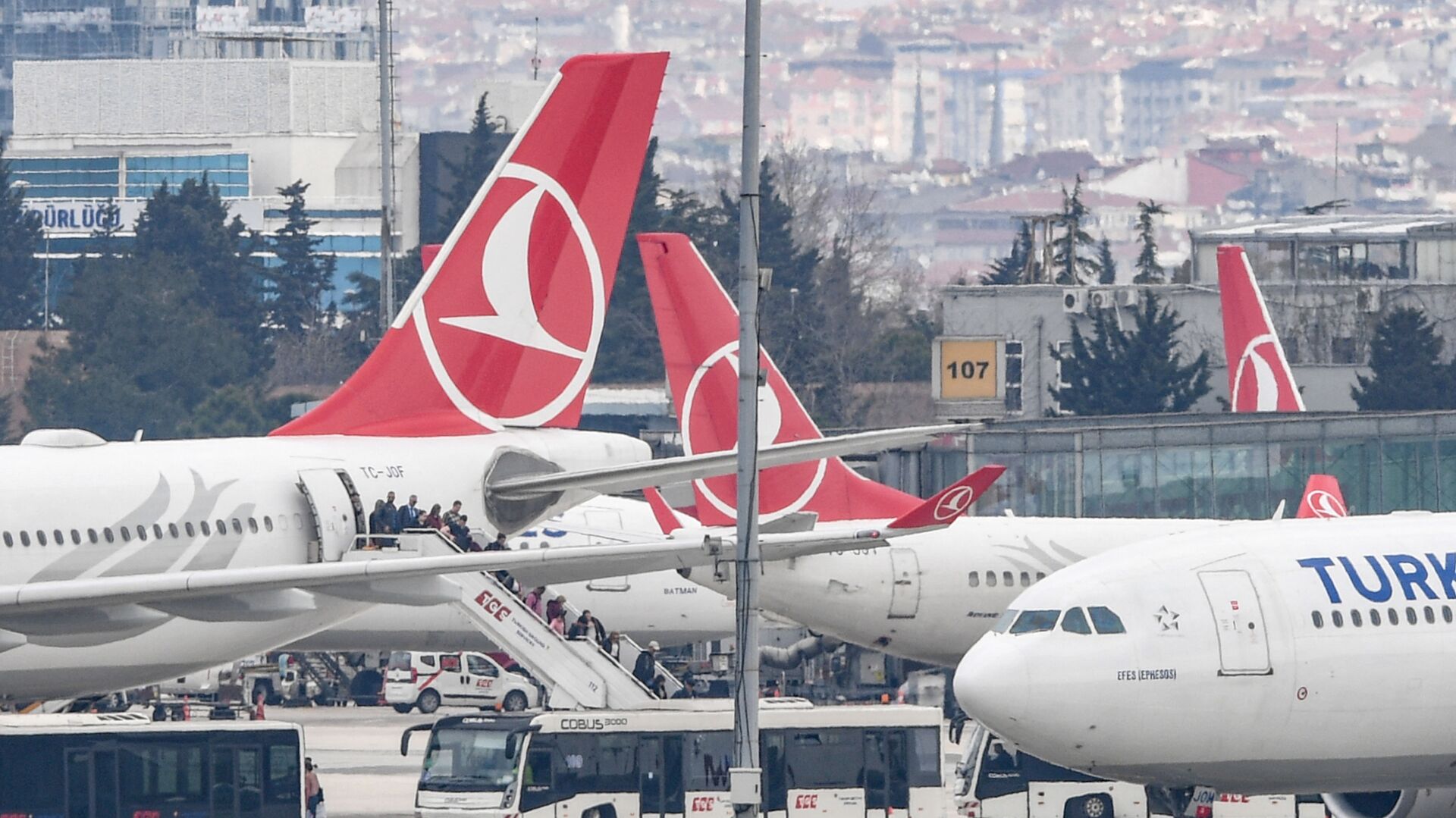 Стамбул airlines. Авиакомпании Турции. Самолет Турция. Самолеты сейчас. Турция на турецких авиалиниях.