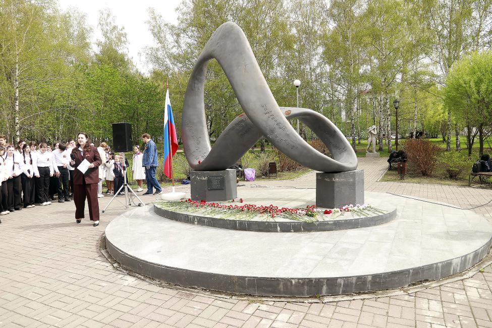 Гвоздики у подножья 